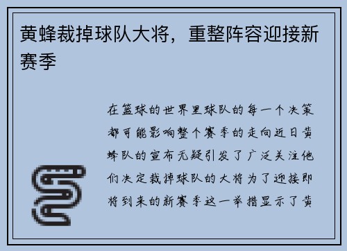 黄蜂裁掉球队大将，重整阵容迎接新赛季