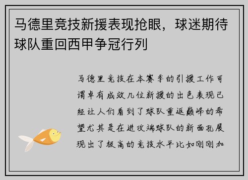 马德里竞技新援表现抢眼，球迷期待球队重回西甲争冠行列